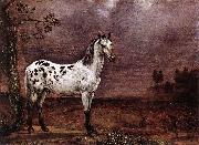 The Spotted Horse, paulus potter